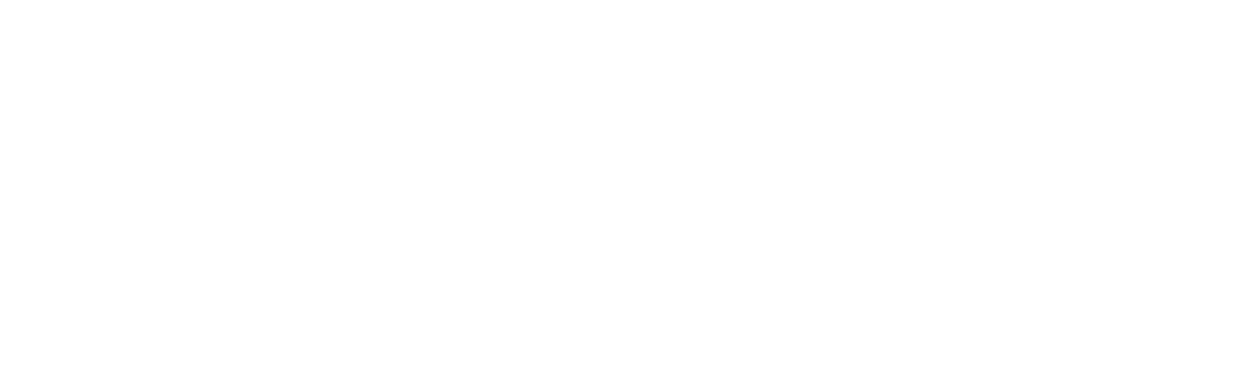 Angular wordmark white logo